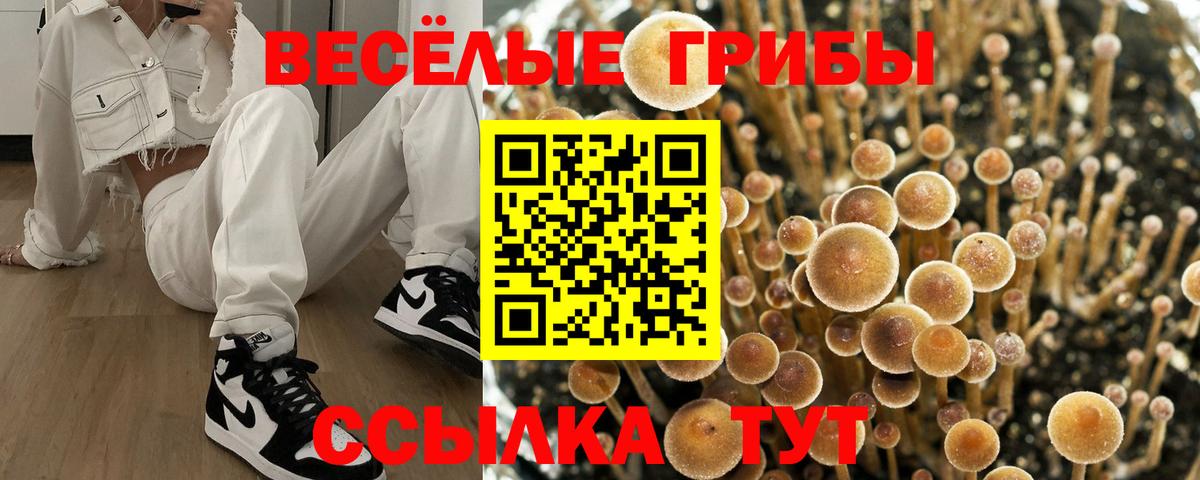 Полысаево  закладки  Вход с VPN  Псилоцибиновые грибы Magic Shrooms 